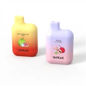 5000/6000 Puffs Vape Mercado desechable de EE. UU.