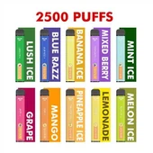 OVNS MESH COIL Disposable Vape 2500 PUFFS